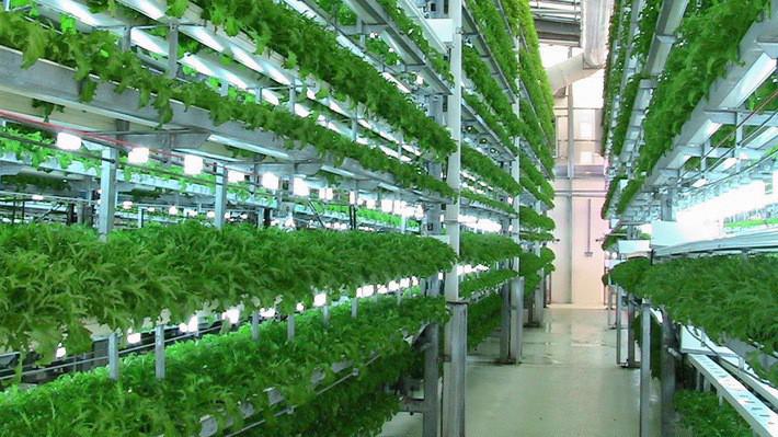 Recognition of agricultural enterprises applying high technology