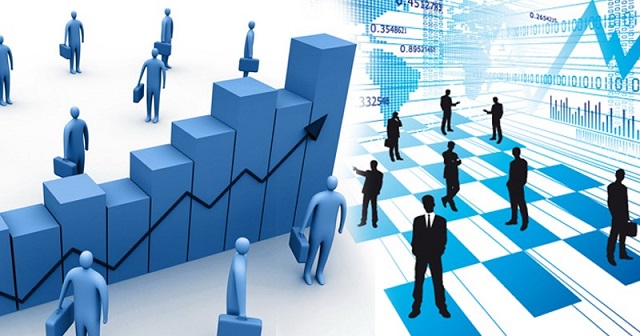 Can a private business owner contribute capital to a limited liability company?