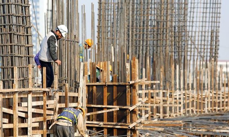 Những dự án nào phải tổ chức đấu thầu lựa chọn nhà đầu tư?