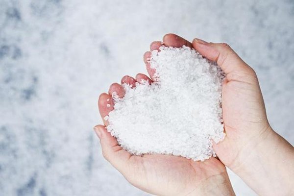 How does the state support households that invest in salt storage, salt production machines and equipment, and salt processing lines and equipment?