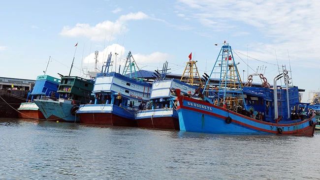 Professional training for fishing vessel registrars