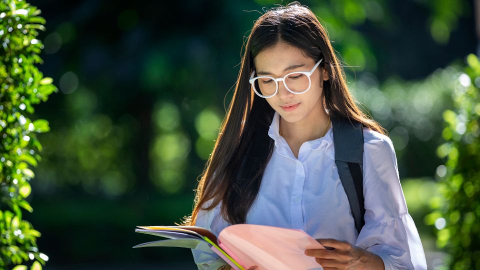 What type of visa are granted to international students in Vietnam?