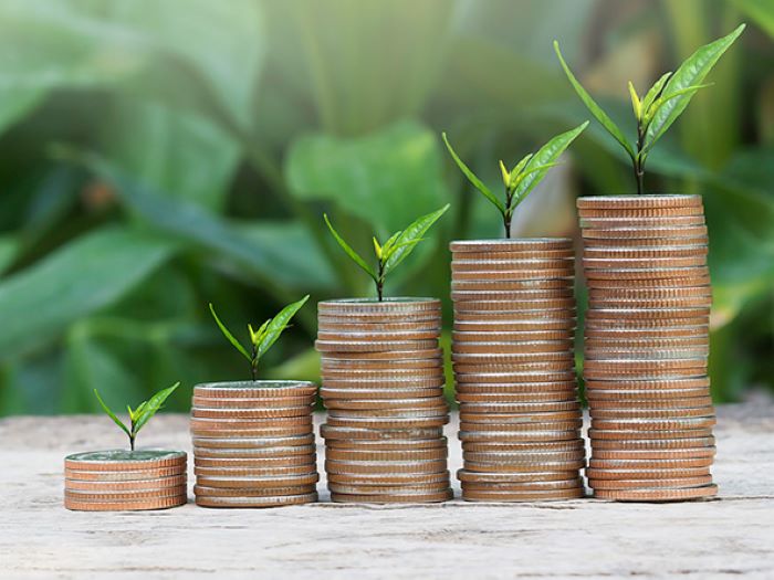 Đầu tư công là gì?