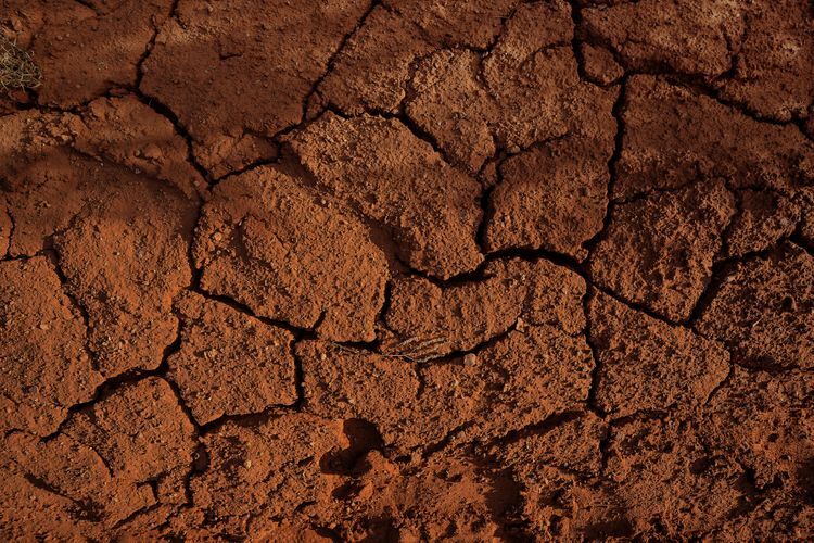 Added conditions to determine investment projects using land from March 26, 2021