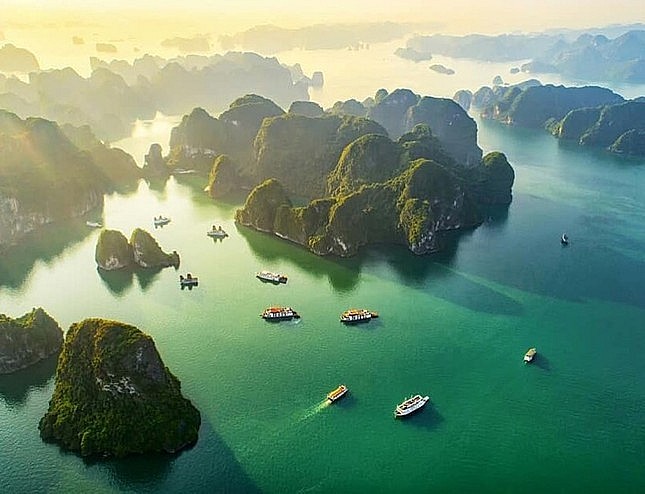 Which agency is responsible for collecting fees to confirm Vietnamese nationality?