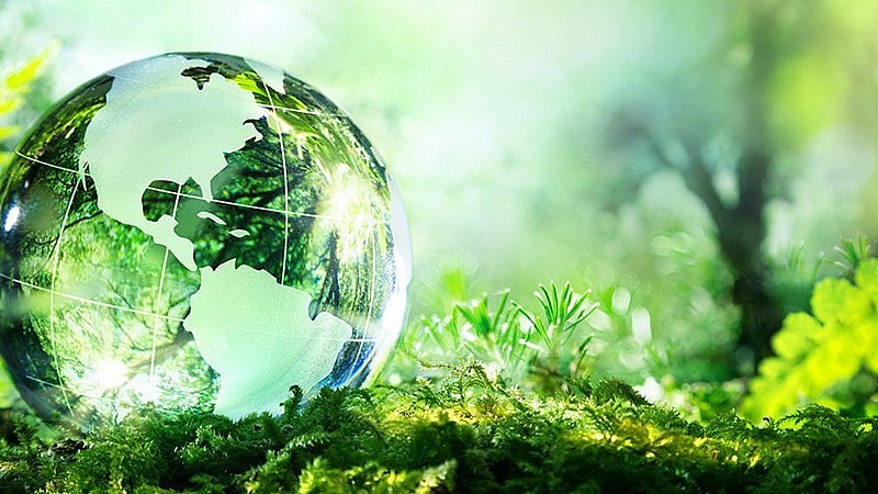 Công ty TNHH MTV tạm ngừng hoạt động kinh doanh có phải thực hiện quan trắc môi trường định kỳ hay không?