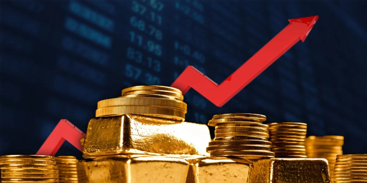 Giám sát đầu tư là hoạt động gì?