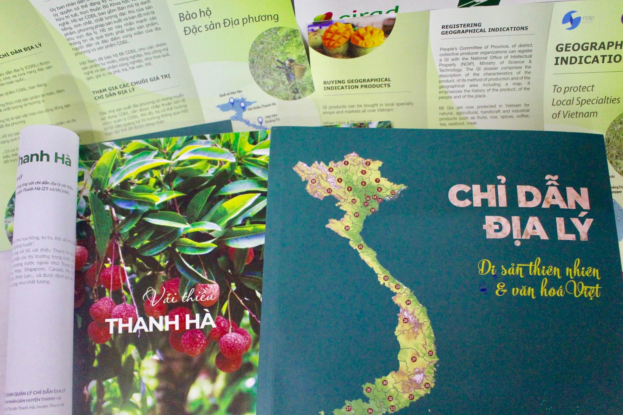 Chỉ dẫn địa lý đồng âm là gì?