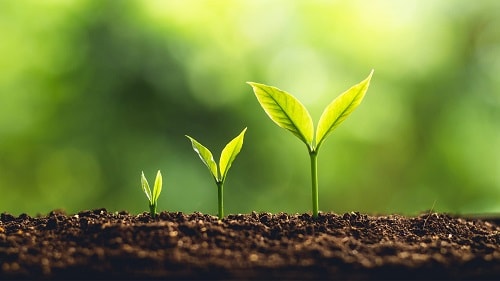 Thêm điều kiện xác định dự án đầu tư có sử dụng đất từ 26/3/2021