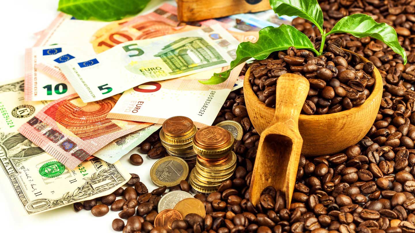 Does a household that wants to borrow capital to invest abroad need to have an Outward Investment Registration Certificate?