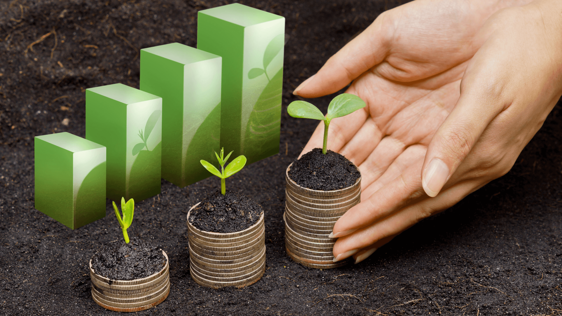 What is investment supervision?