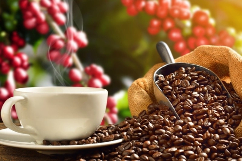 Coffee production belongs to which economic group? Who has the right to register to establish a coffee production business?