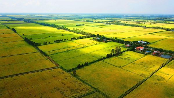 Can I get a red book if I buy land from someone who has been allocated land incorrectly?