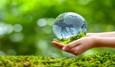 What is the maximum term of an environmental permit?