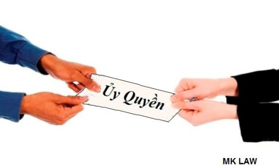 Thay đổi thông tin người đại diện theo ủy quyền của thành viên công ty trách nhiệm hữu hạn là tổ chức