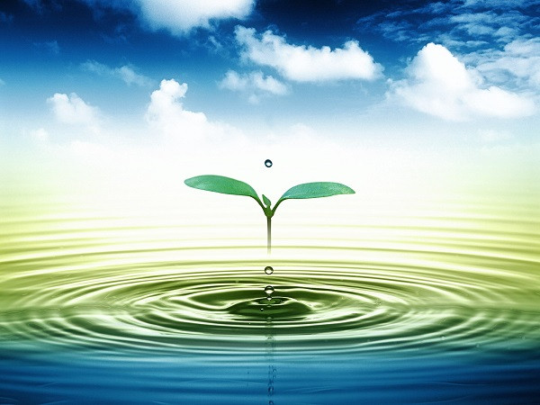 What types of water resources licenses include?