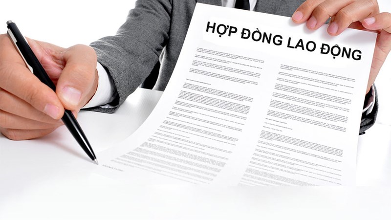 Giám đốc ký hợp đồng lao động với chính mình không?