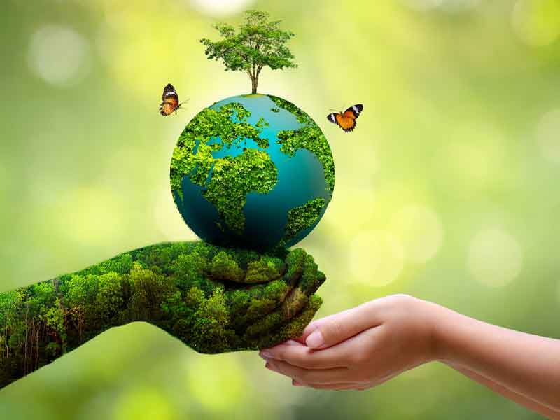 Does an LLC that temporarily suspends business operations have to carry out periodic environmental monitoring?