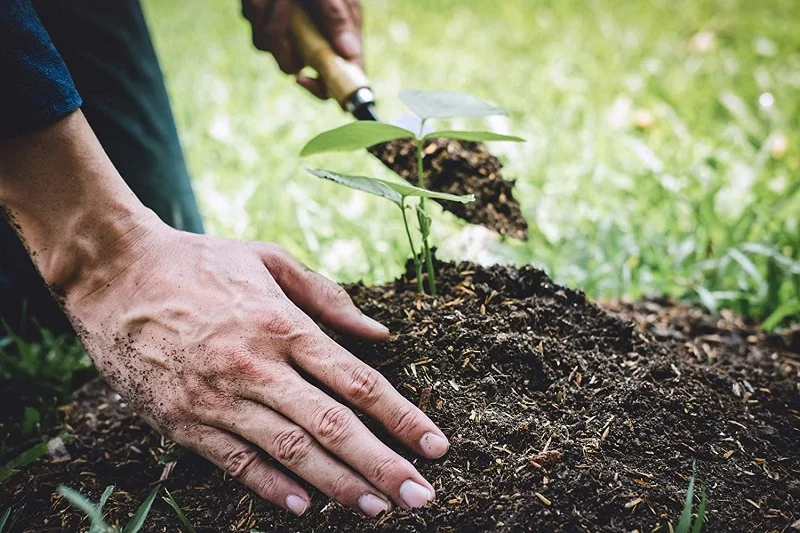 Bán nhà, đất có cần hỏi ý kiến người cùng hộ khẩu?