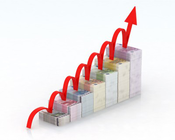 Register to change charter capital for a one-member limited liability company (in case of increasing the company