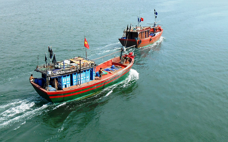 How are fisheries exploitation licenses regulated?