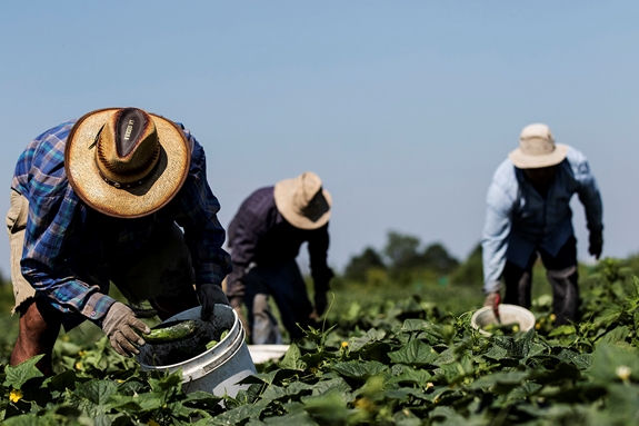 If another individual uses the Labor Subleasing License, will the business have its license revoked?
