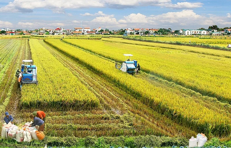 What is farmland? How to calculate the area of ​​farmland