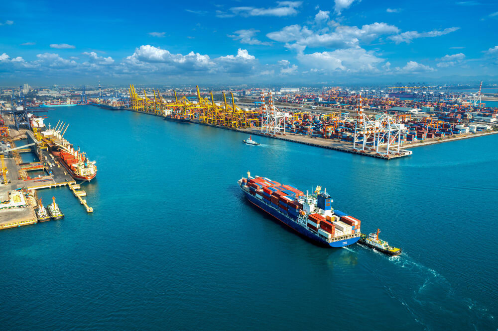 Can ships owned by Vietnamese organizations or individuals fly foreign national flags?