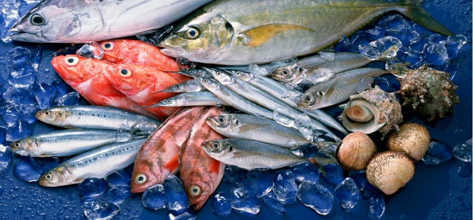 To do seafood export business, in addition to a seafood export license, do I need a CITES license?