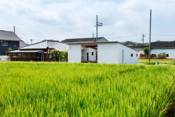 Tự ý chuyển mục đích sử dụng đất, bị xử phạt như thế nào?