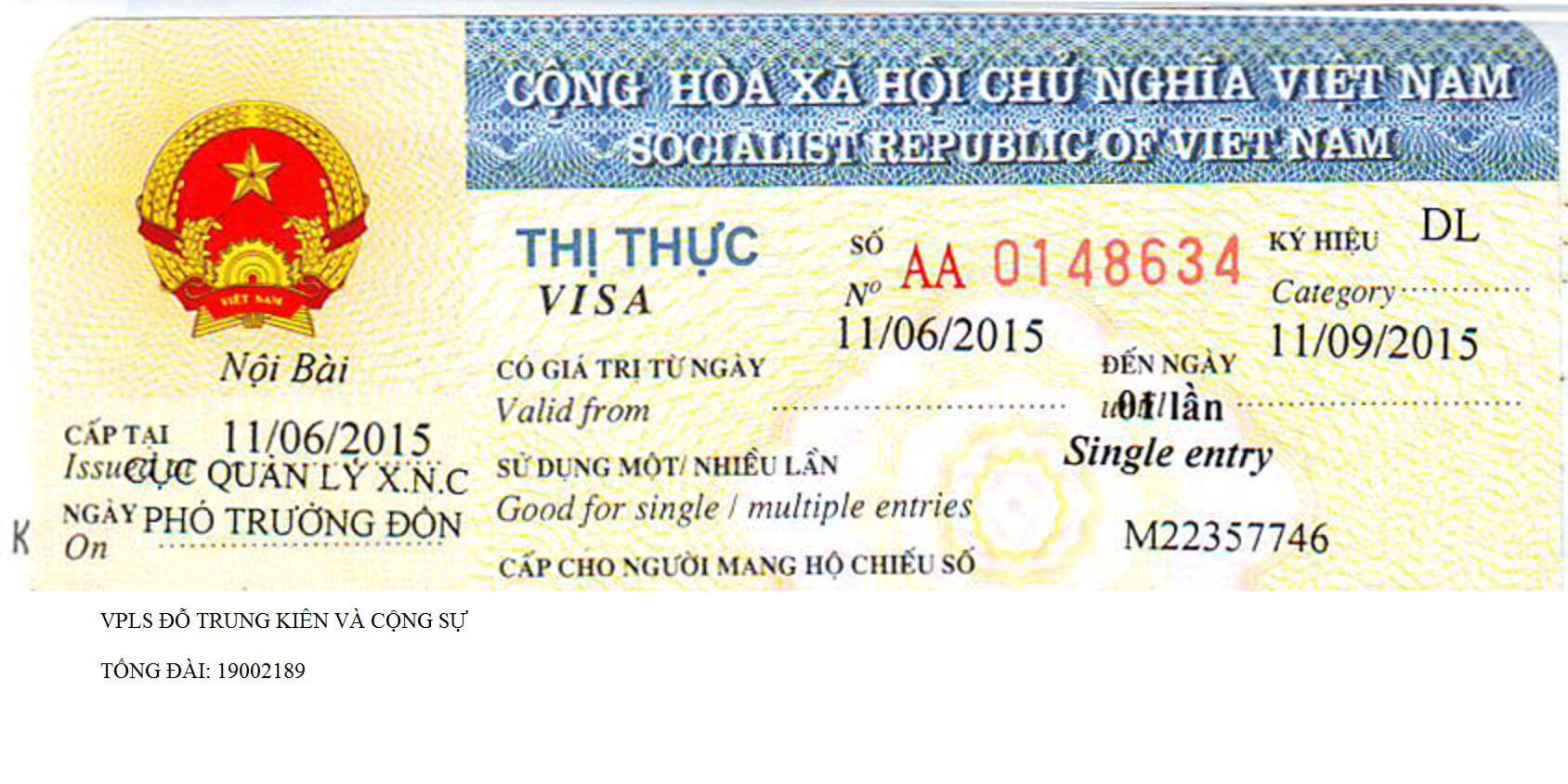 What kind of visa is granted to people working with foreign non-governmental organizations in Vietnam?
